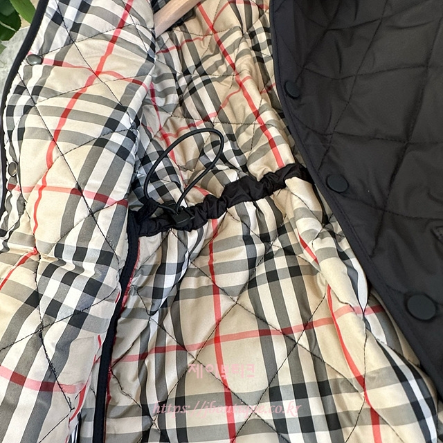 707ad9b2bd7ec451a3ffdaa2a38b9174_1736930173_1558.jpg 707ad9b2bd7ec451a3ffdaa2a38b9174_1736930173_1558.jpg