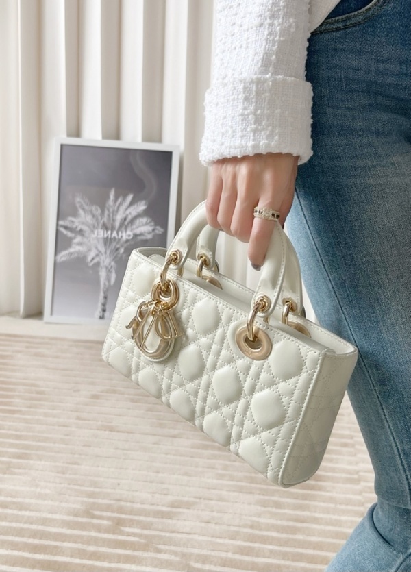 디올 디 조이백 마이크로