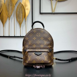 루이비통 팜스프링스 백팩 (미니,PM)