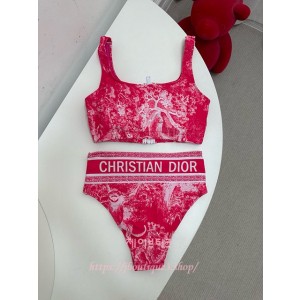디올 비키니