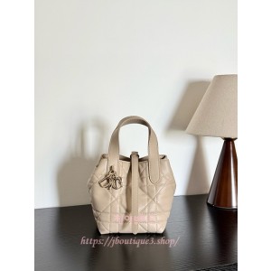 디올 뚜주흐 버티컬 나노 토트백