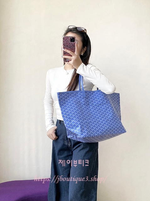 고야드 2025 한정판 생루이백 (PM,MM)