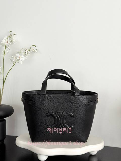 셀린느 미니 아나이스 카바스