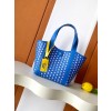 고야드 DUO TOTE BB