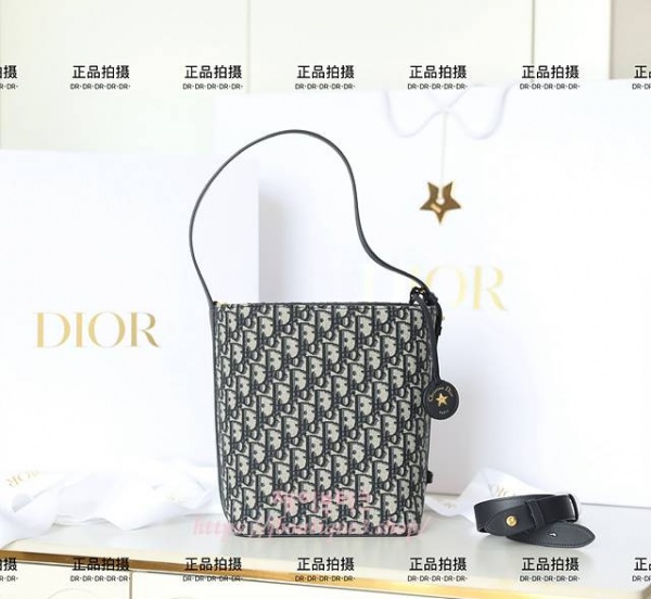 디올 Diorstar 스몰 버킷백