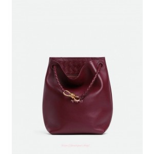 보테가 베네타 안디아모 버킷백