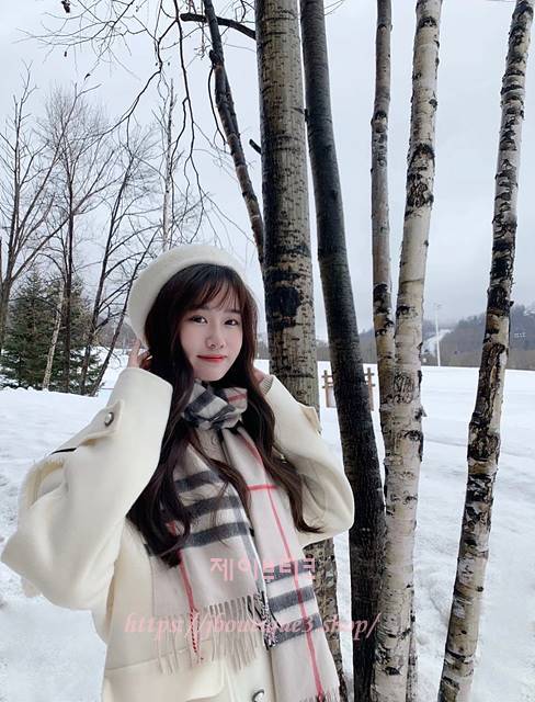 버버리 머플러 목도리