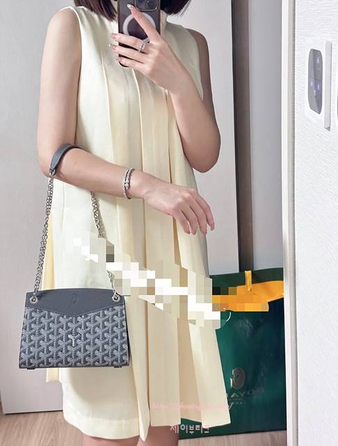 고야드 스트럭쳐 루엣뜨 백 미니