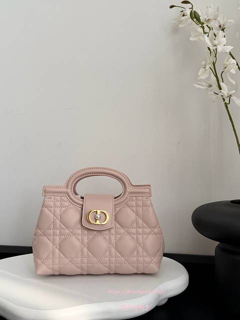 디올 Jolie 졸리 탑 핸들 미니 백