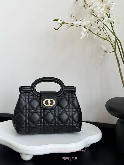 디올 Jolie 졸리 탑 핸들 미니 백